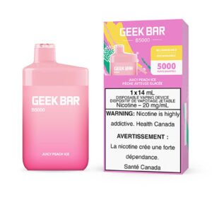 juicy peach ice geek bar